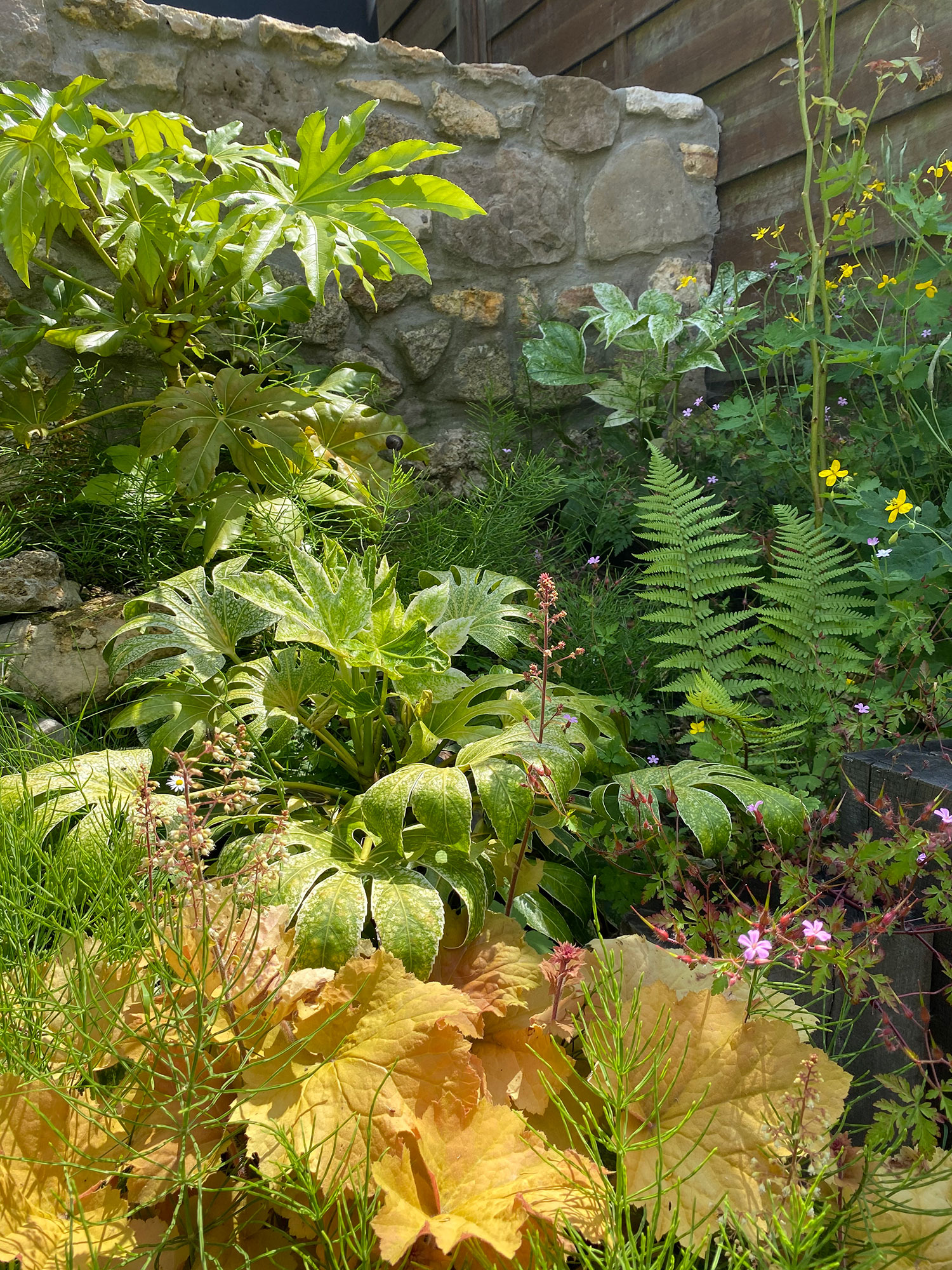 Paysagiste Val d’Oise – création de jardin