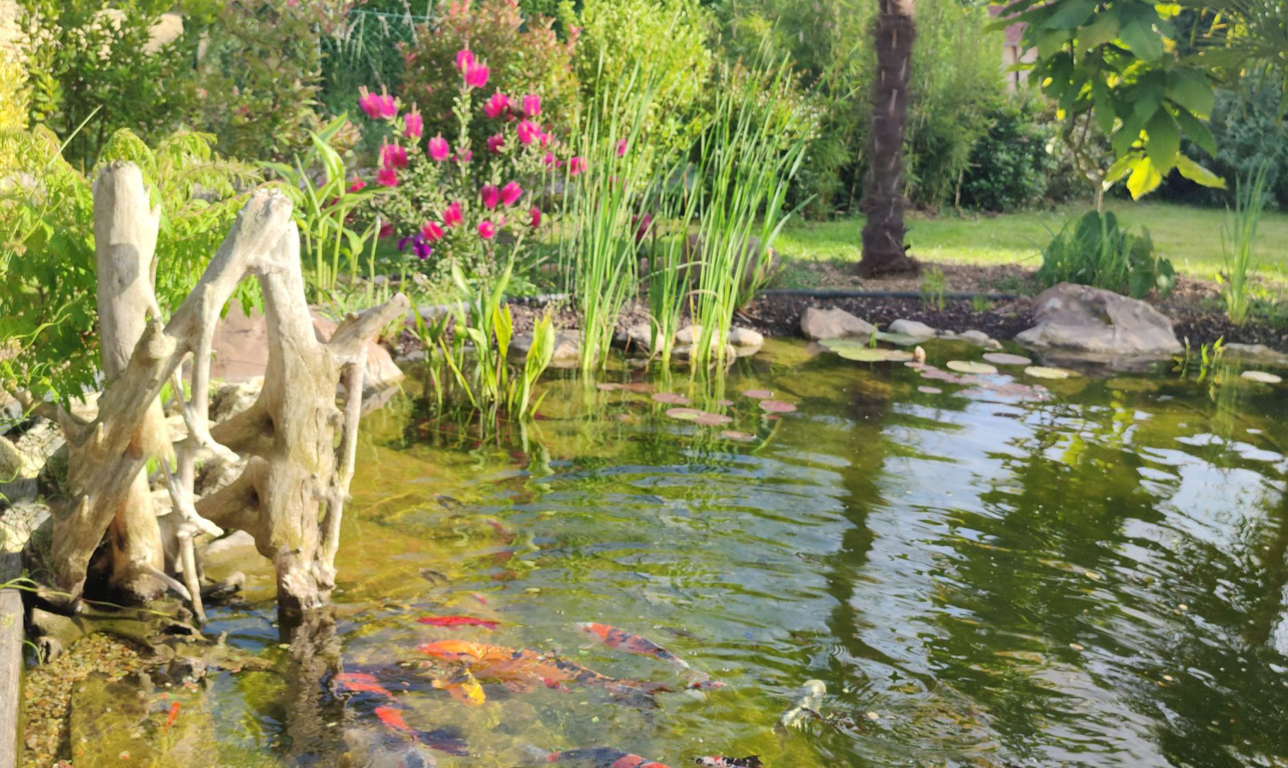 Paysagiste Saint Leu la Forêt 95320